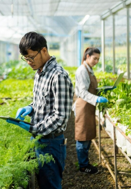odoo erp agriculture